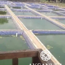 Industri Perikanan KOLAM KOTAK TANAM DI TANAH 1 industri_perikanan_watermark